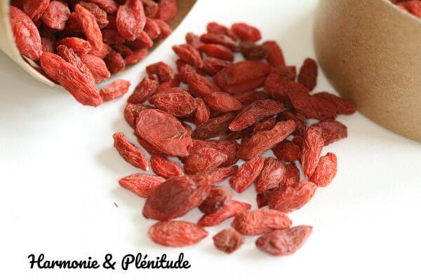 baies de goji rue des plantes