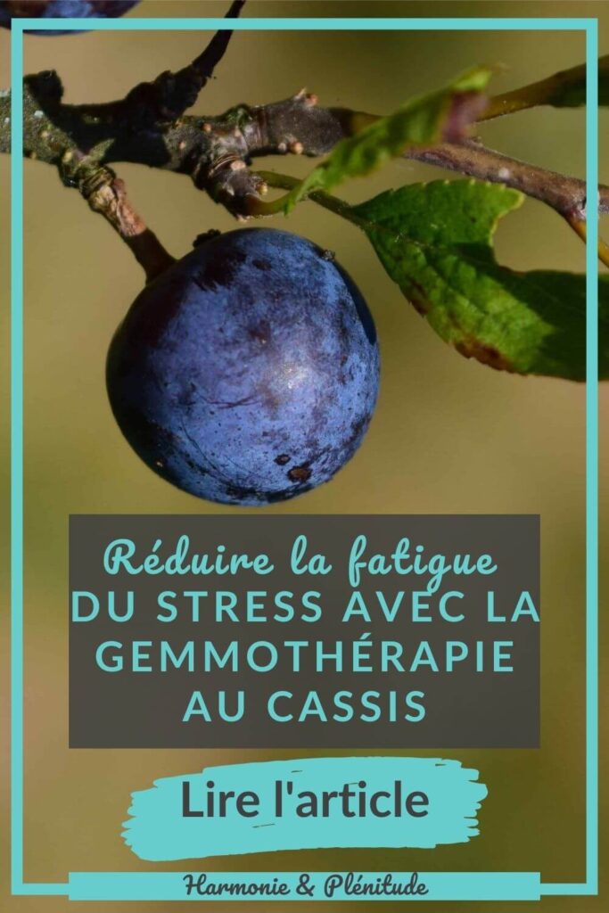 gemmothérapie cassis