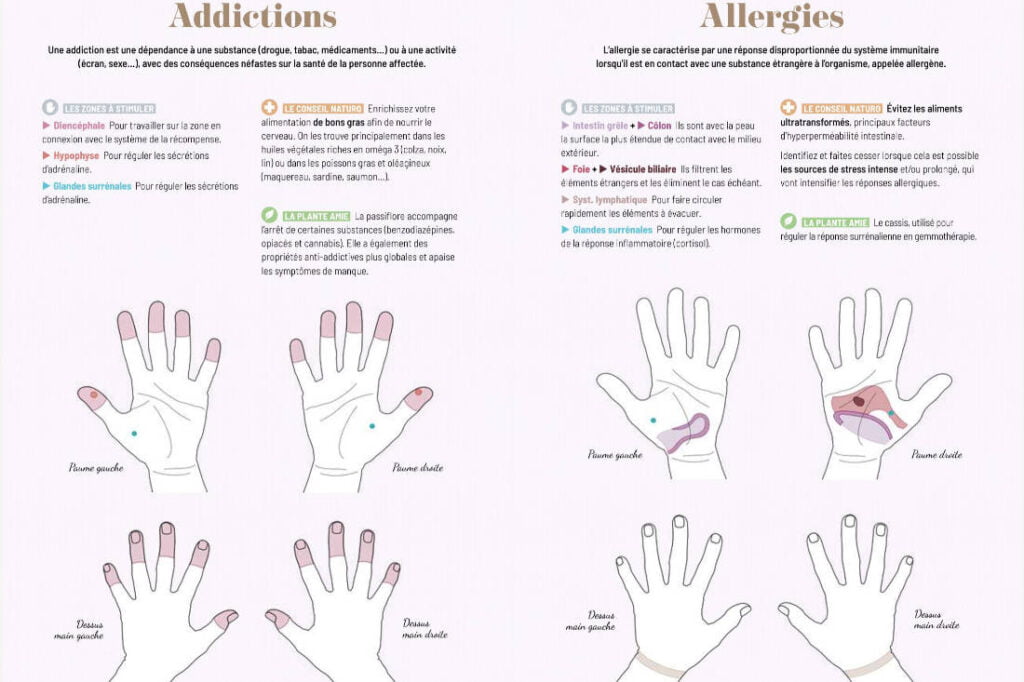 exemple cahier réflexologie palmaire