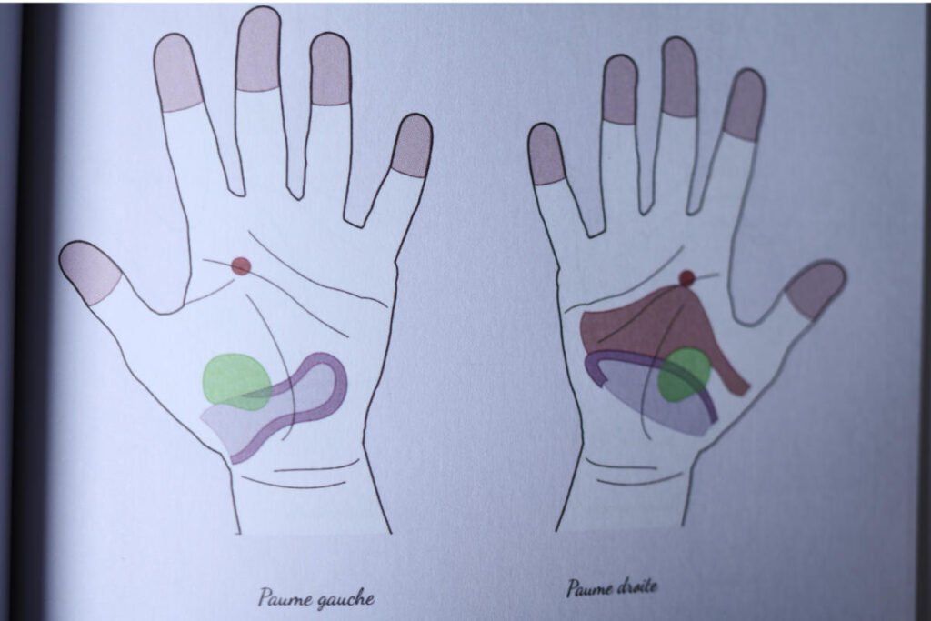deprime reflexologie palmaire