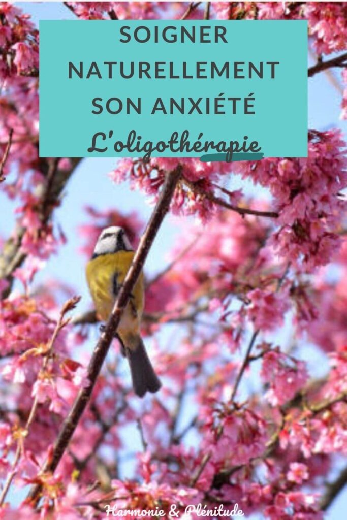 Soigner naturellement anxiété oligothérapie